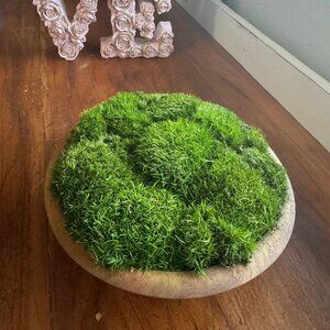 Preserved Moss Centerpiece table or desk decor, gift, wedding, rustic & natural